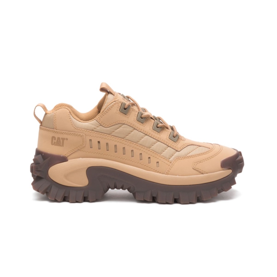 cat_footwear_intruder_shoe_taffy.jpg Cat Footwear Intruder Shoe Taffy - Image 1